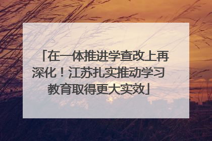 在一体推进学查改上再深化！江苏扎实推动学习教育取得更大实效