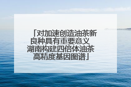 对加速创造油茶新良种具有重要意义 湖南构建四倍体油茶高精度基因图谱