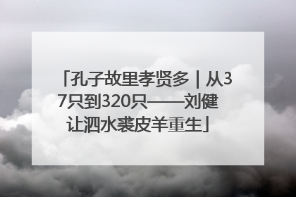 孔子故里孝贤多｜从37只到320只——刘健让泗水裘皮羊重生