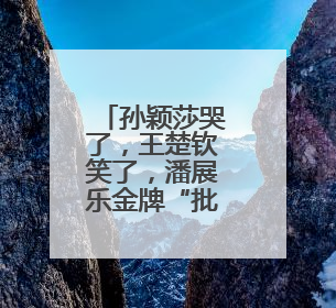 孙颖莎哭了，王楚钦笑了，潘展乐金牌“批发”！