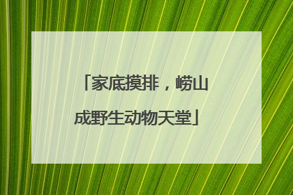 家底摸排，崂山成野生动物天堂