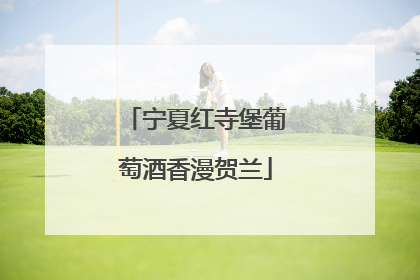 宁夏红寺堡葡萄酒香漫贺兰