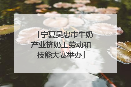 宁夏吴忠市牛奶产业挤奶工劳动和技能大赛举办