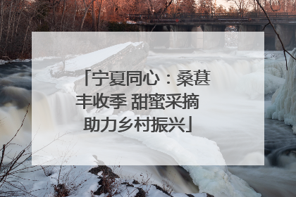 宁夏同心：桑葚丰收季 甜蜜采摘助力乡村振兴