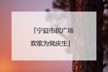 宁夏市民广场欢歌为党庆生