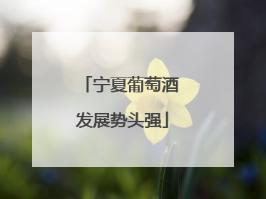 宁夏葡萄酒发展势头强