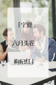 宁夏：六月头茬枸杞红