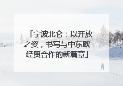 宁波北仑：以开放之姿，书写与中东欧经贸合作的新篇章