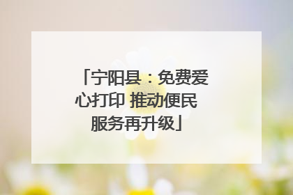 宁阳县：免费爱心打印 推动便民服务再升级