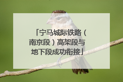 宁马城际铁路（南京段）高架段与地下段成功衔接