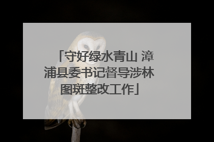 守好绿水青山 漳浦县委书记督导涉林图斑整改工作