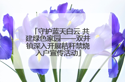 守护蓝天白云 共建绿色家园——双井镇深入开展秸秆禁烧入户宣传活动