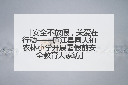 安全不放假，关爱在行动——庐江县同大镇农林小学开展暑假前安全教育大家访
