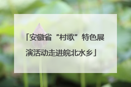 安徽省“村歌”特色展演活动走进皖北水乡