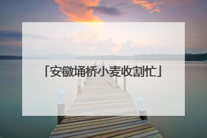 安徽埇桥小麦收割忙