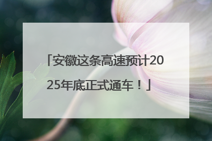 安徽这条高速预计2025年底正式通车！