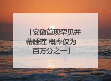安徽首现罕见并蒂睡莲 概率仅为百万分之一