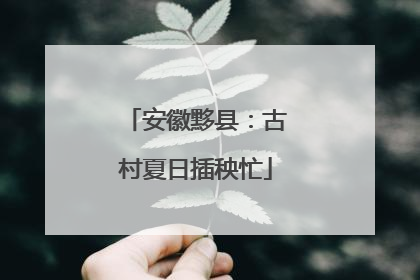 安徽黟县：古村夏日插秧忙