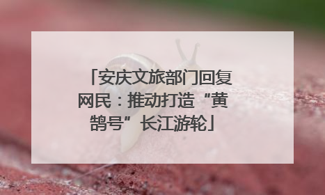 安庆文旅部门回复网民：推动打造“黄鹄号”长江游轮