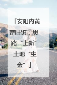 安阳内黄楚旺镇：思路“上新” 土地“生金”