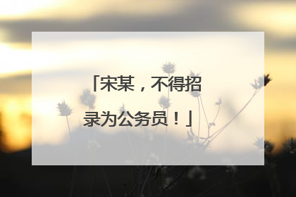 宋某，不得招录为公务员！