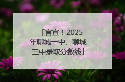 官宣！2025年聊城一中、聊城三中录取分数线