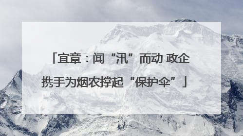宜章：闻“汛”而动 政企携手为烟农撑起“保护伞”