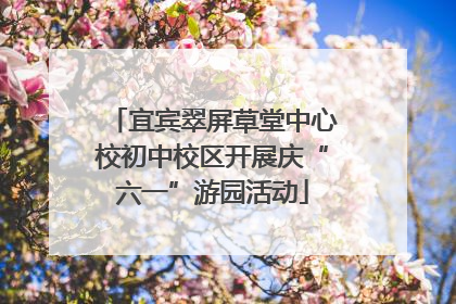 宜宾翠屏草堂中心校初中校区开展庆“六一”游园活动