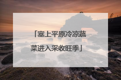 塞上平原冷凉蔬菜进入采收旺季