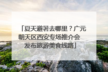 夏天避暑去哪里？广元朝天区西安专场推介会 发布旅游美食线路