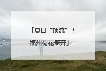 夏日“顶流”！福州荷花盛开