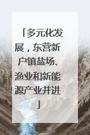 多元化发展，东营新户镇盐场、渔业和新能源产业并进