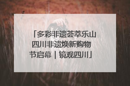 多彩非遗荟萃乐山 四川非遗焕新购物节启幕｜镜观四川
