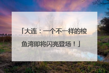 大连：一个不一样的梭鱼湾即将闪亮登场！