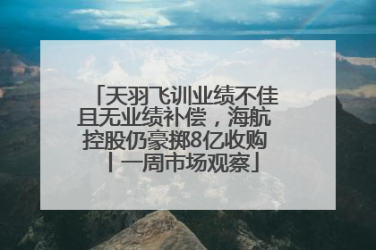 天羽飞训业绩不佳且无业绩补偿，海航控股仍豪掷8亿收购丨一周市场观察
