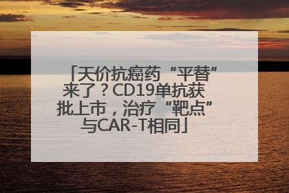 天价抗癌药“平替”来了？CD19单抗获批上市，治疗“靶点”与CAR-T相同