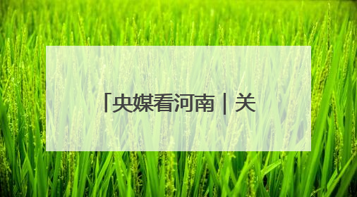 央媒看河南｜关注河南三夏动态、生态保护等内容