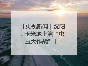 央视新闻｜沈阳：玉米地上演“虫虫大作战”