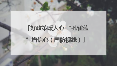 好政策暖人心 “孔雀蓝”增信心（国防视线）