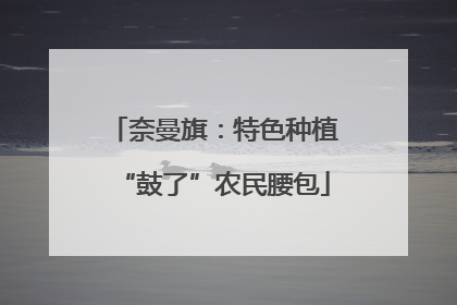 奈曼旗：特色种植“鼓了”农民腰包