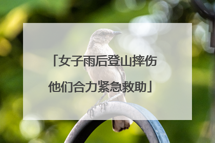 女子雨后登山摔伤 他们合力紧急救助