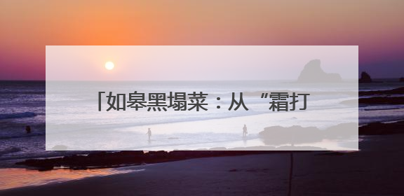 如皋黑塌菜：从“霜打趴菜”到“长寿金叶”