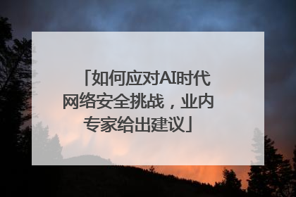 如何应对AI时代网络安全挑战，业内专家给出建议