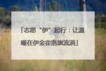 志愿“伊”起行：让温暖在伊金霍洛旗流淌