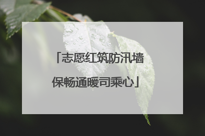 志愿红筑防汛墙 保畅通暖司乘心