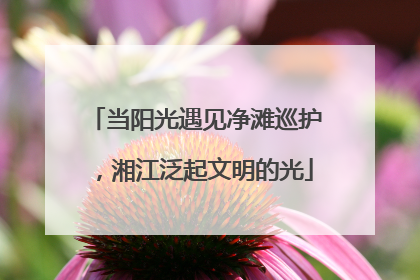 当阳光遇见净滩巡护，湘江泛起文明的光