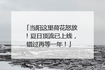 当阳这里荷花怒放！夏日顶流已上线，错过再等一年！