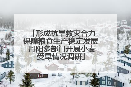 形成抗旱救灾合力 保障粮食生产稳定发展 丹阳多部门开展小麦受旱情况调研