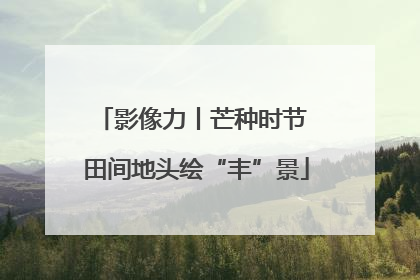 影像力丨芒种时节 田间地头绘“丰”景