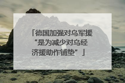 德国加强对乌军援 “是为减少对乌经济援助作铺垫”